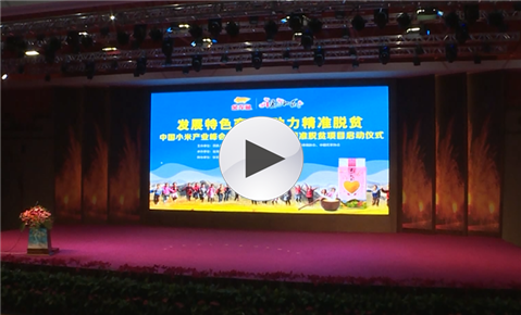 中國小米産業峰會暨益海嘉裏蔚縣精準扶貧項目啟動儀式在河北蔚縣舉行