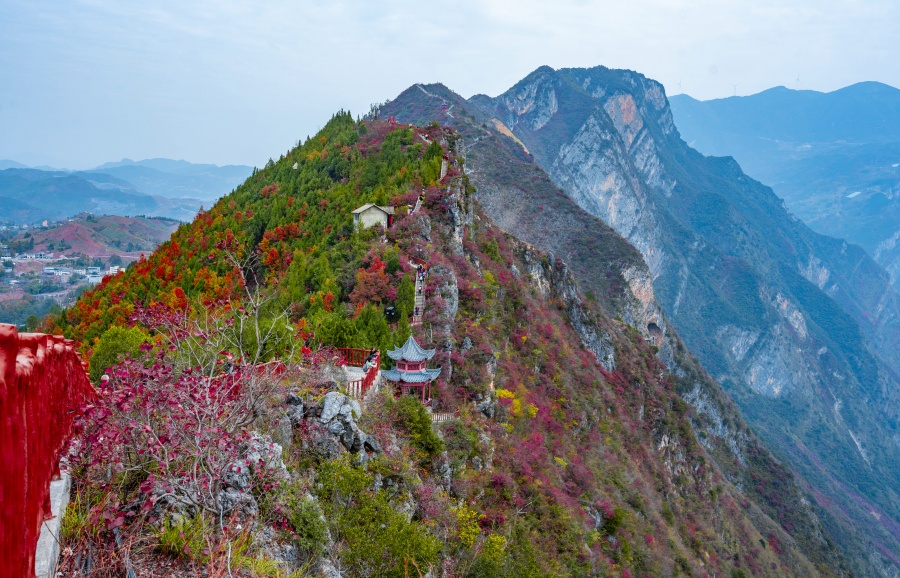 葉寄情思 聽，這是巫山紅葉為你放歌