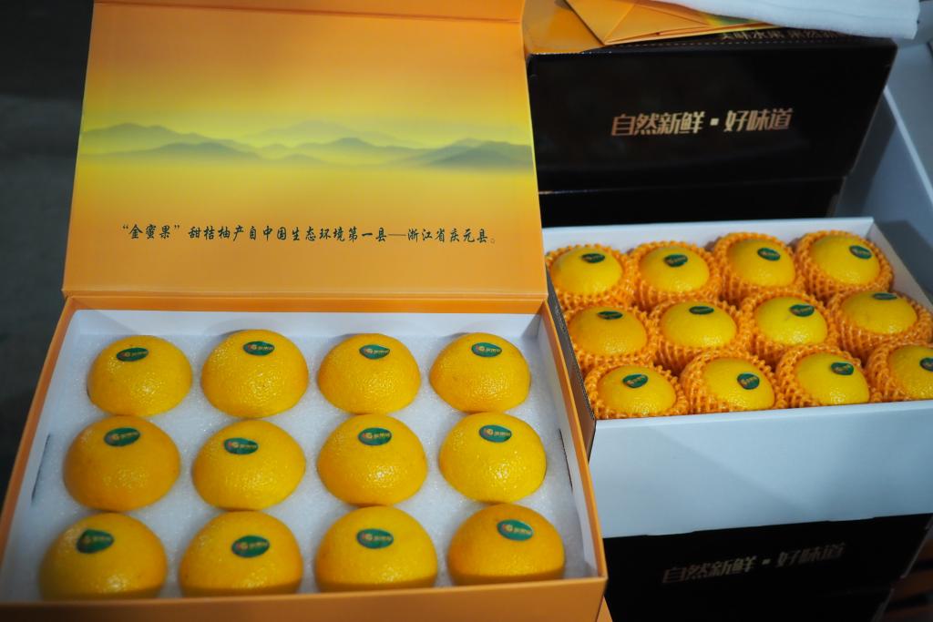 浙江慶元：甜桔柚迎來豐收季