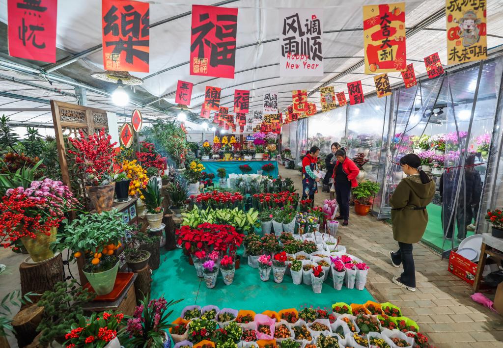 浙江紹興：年宵花卉迎新年
