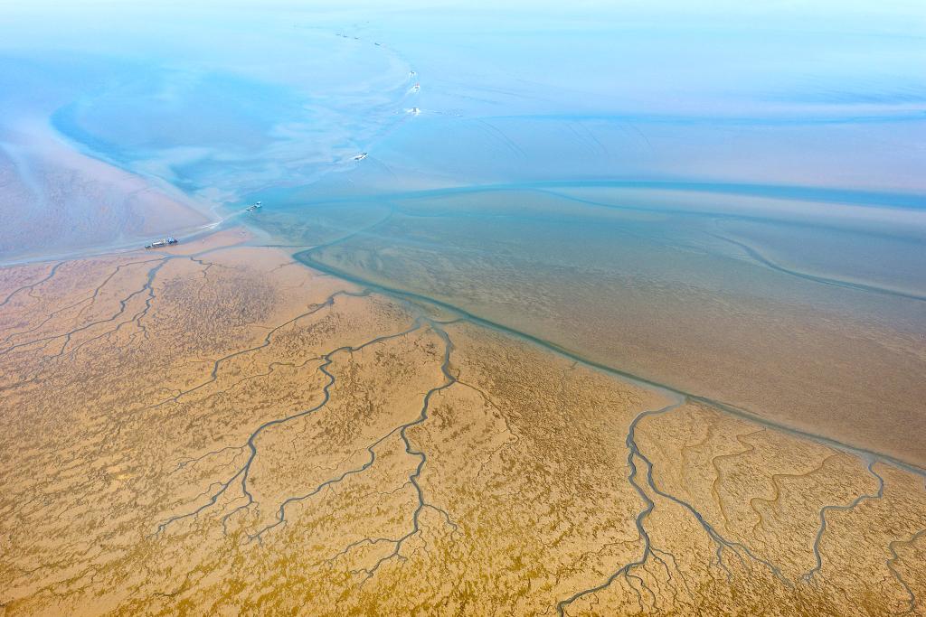 江蘇如東：收穫頭水紫菜