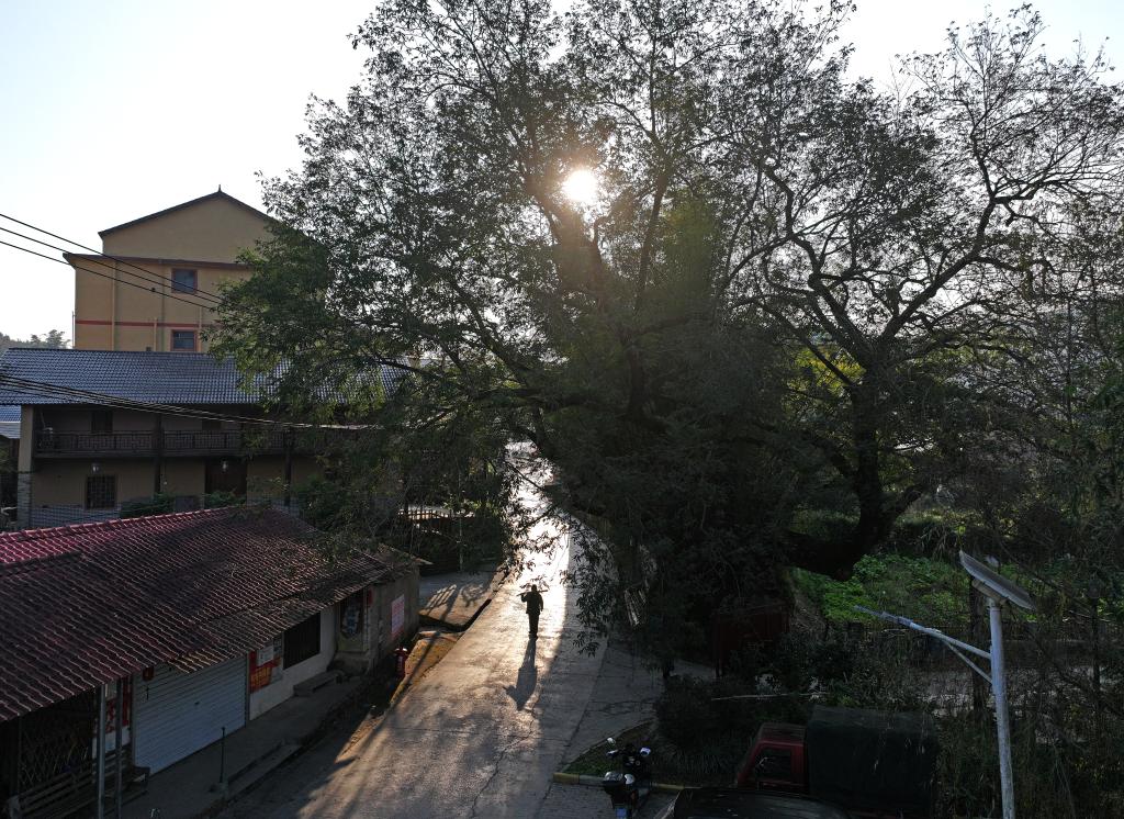 文化中國行·傳統村落人文影像志｜龍妙屯：百年老街憶鄉愁