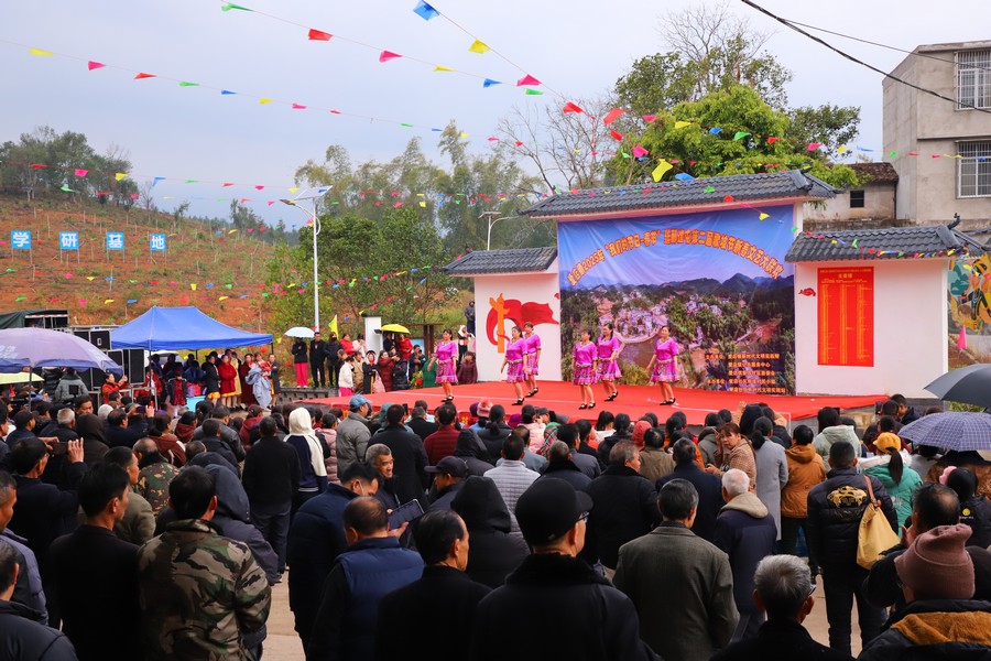 寧明：邊境小村歌坡節 奏響新春歡樂曲
