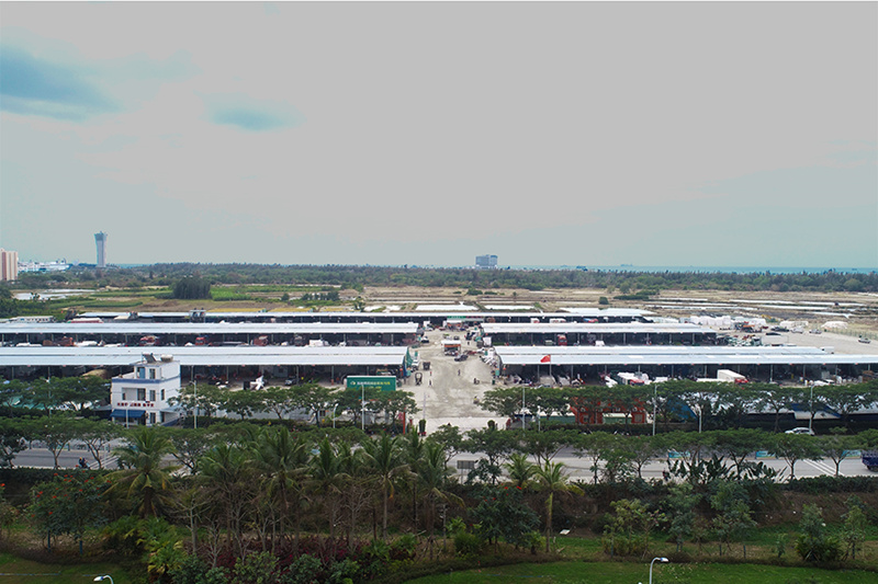 日均成交量逾170萬斤 三亞崖州南菜北運交易忙