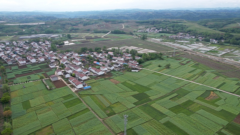「トキの裏」、グリーン産業の発展に盡力　陝西省漢中市