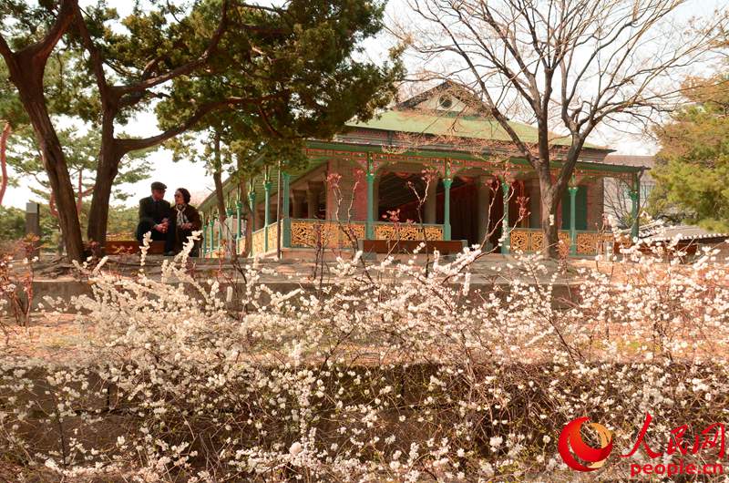 韓國春天的賞花勝地&mdash;&mdash;德壽宮