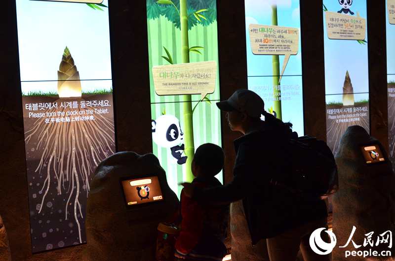 “專訪”中韓友好大使“愛寶”“樂寶”