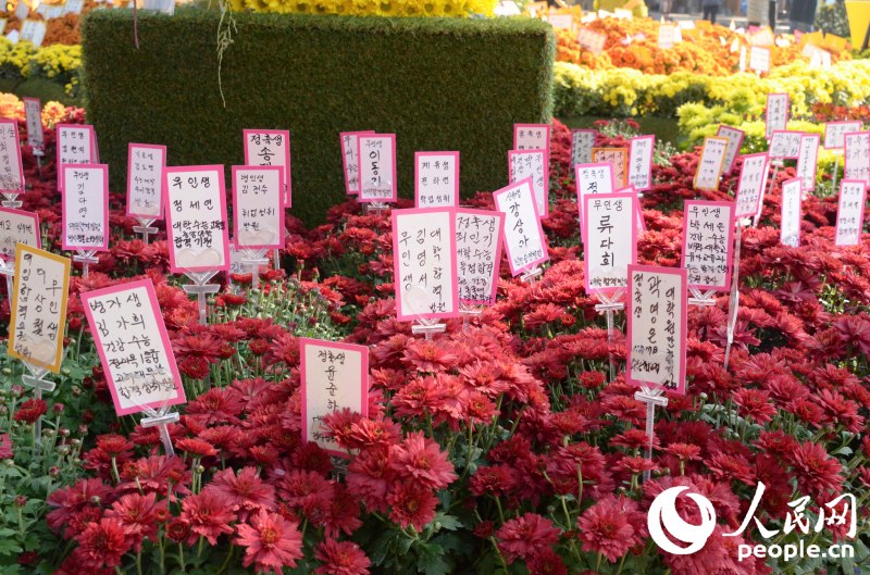 寫在卡片上的祝福 成碩攝