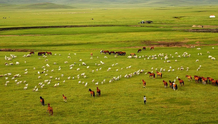    ,                    !