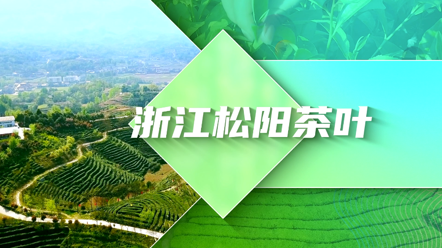 松陽茶葉入駐新華網溯源中國可信品牌矩陣