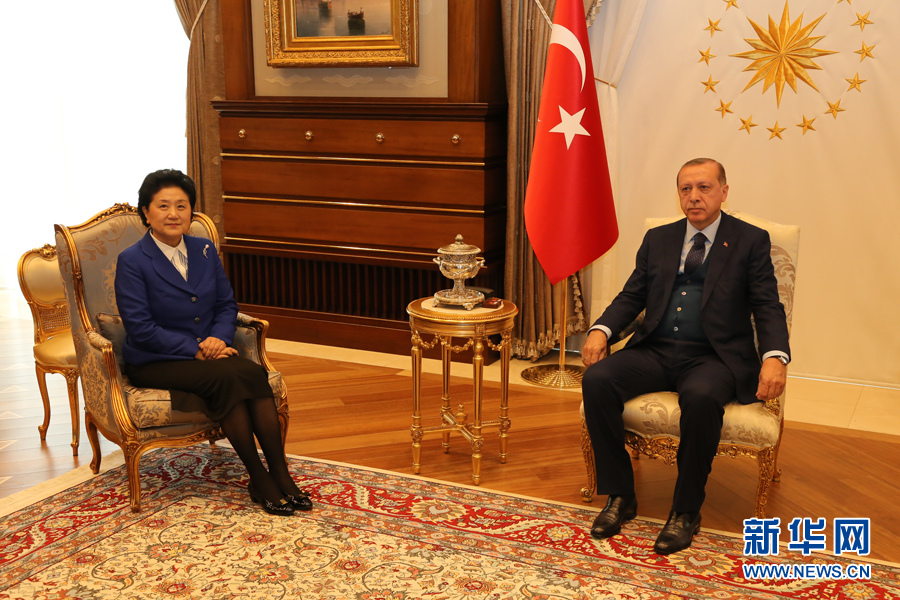 4月18日，土耳其總統埃爾多安在安卡拉會見中國國務院副總理劉延東。 新華社記者 秦彥洋攝