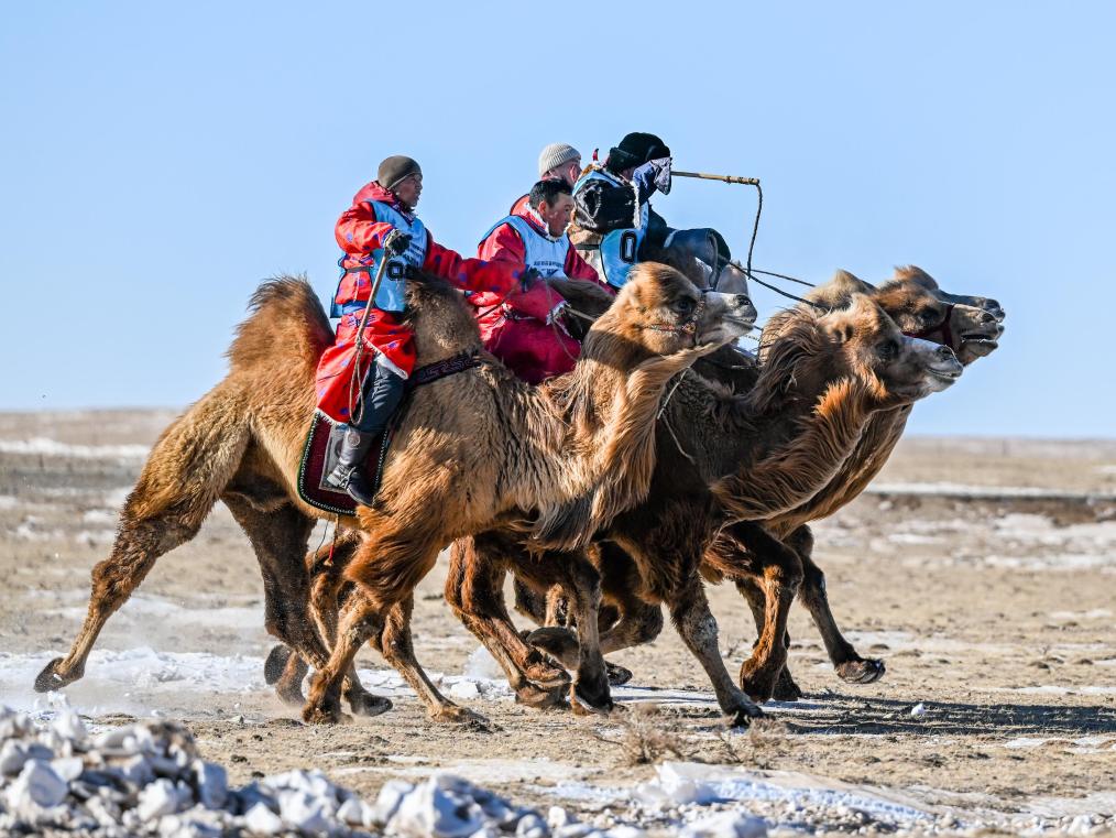 “硬核”！內蒙古人這樣玩冰雪