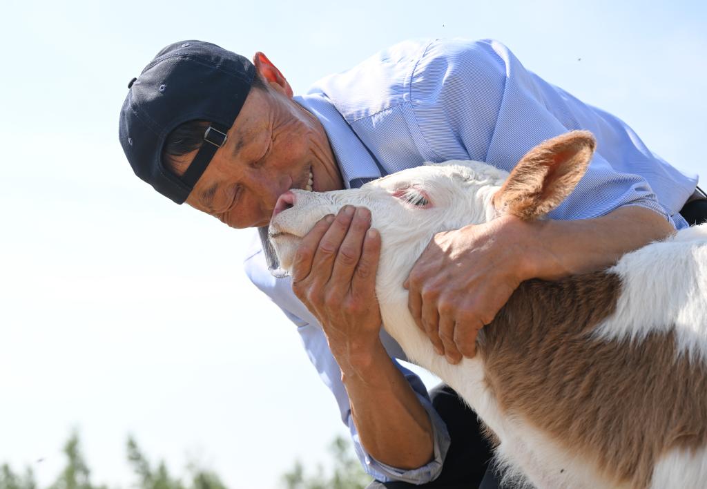 彩恩朝格圖：游牧41年，守護全球重要農業文化遺産