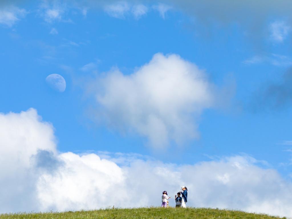 高山草原美如畫
