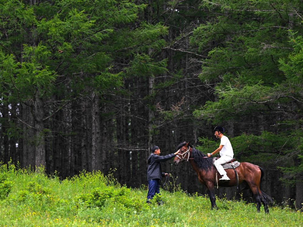 巧抓“涼”機，內蒙古興安盟讓“清涼”持續發熱