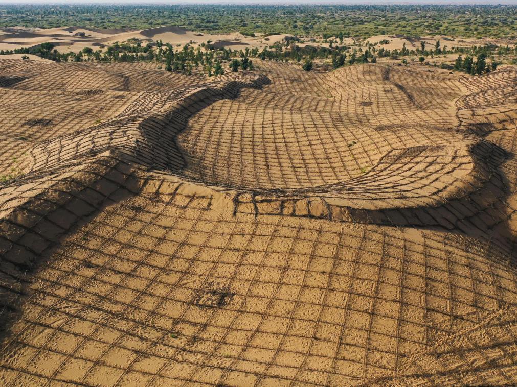 庫布其治沙模式：從“死亡之海”到“綠色奇蹟”