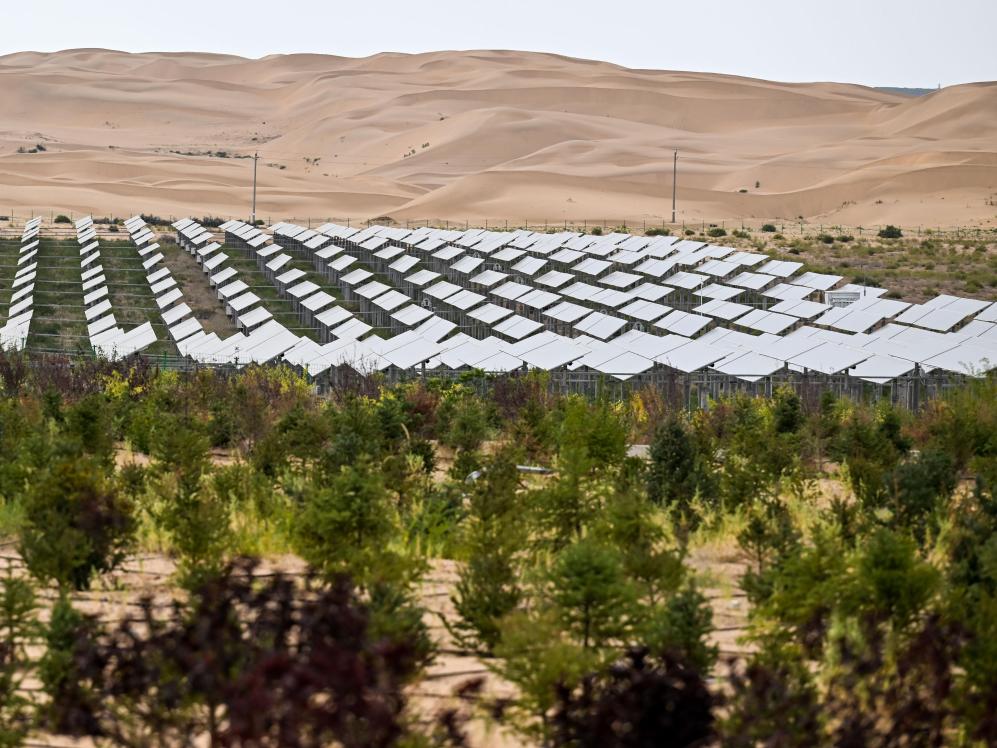 中國防沙治沙經驗助力全球生態治理