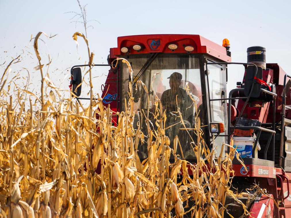 奈曼旗“光伏收益+”精準施策 照亮萬戶振興路