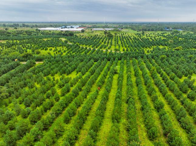 “五個高地”是怎樣打造的？