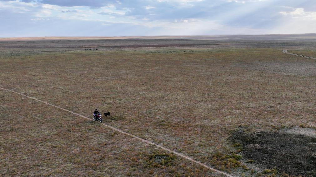 走近“國家的孩子”，感受草原上的大愛