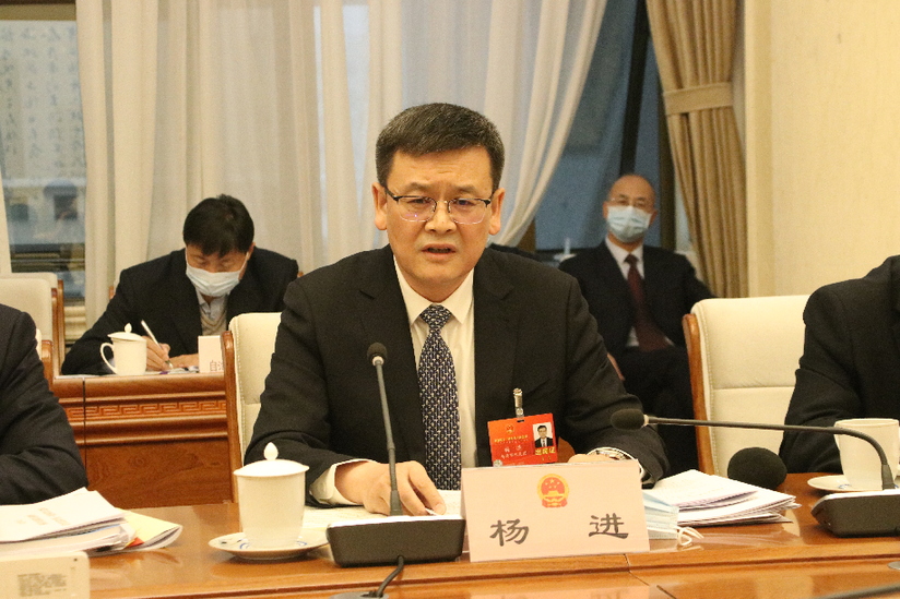 楊進代表：努力爭創共同富裕先行市