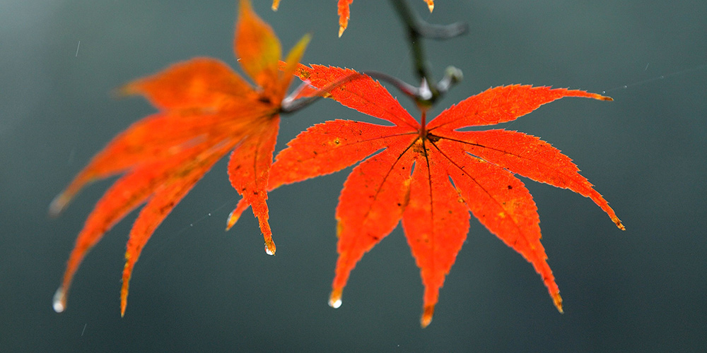 Paisagem do rio Gongshui em Hubei