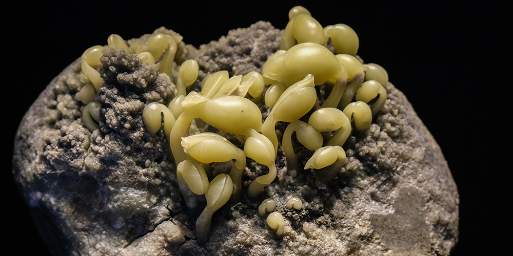 Distrito de Qingtian em Zhejiang promove a indústria cultural de escultura em pedra