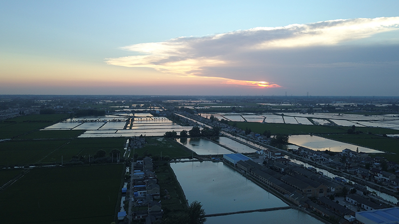 【“飛閱”中國】靜謐立秋 粼粼河塘