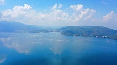 雲南澄江：生態産業帶火撫仙湖畔鄉村旅游