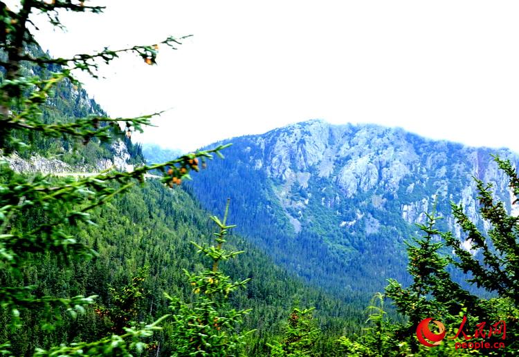 從車窗眺望，白雪覆蓋山頂，粉蕾挂在枝頭。好一幅美圖！  於世文  攝