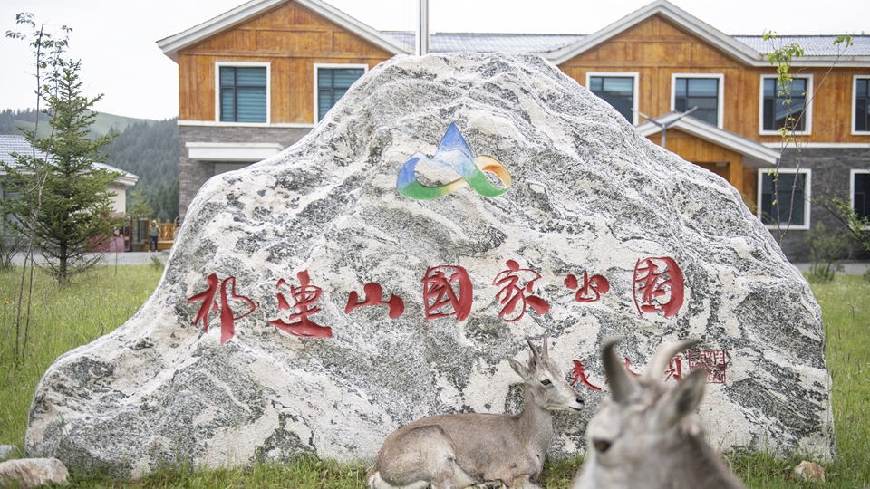 探訪祁連山國家公園野生動物救護繁育站