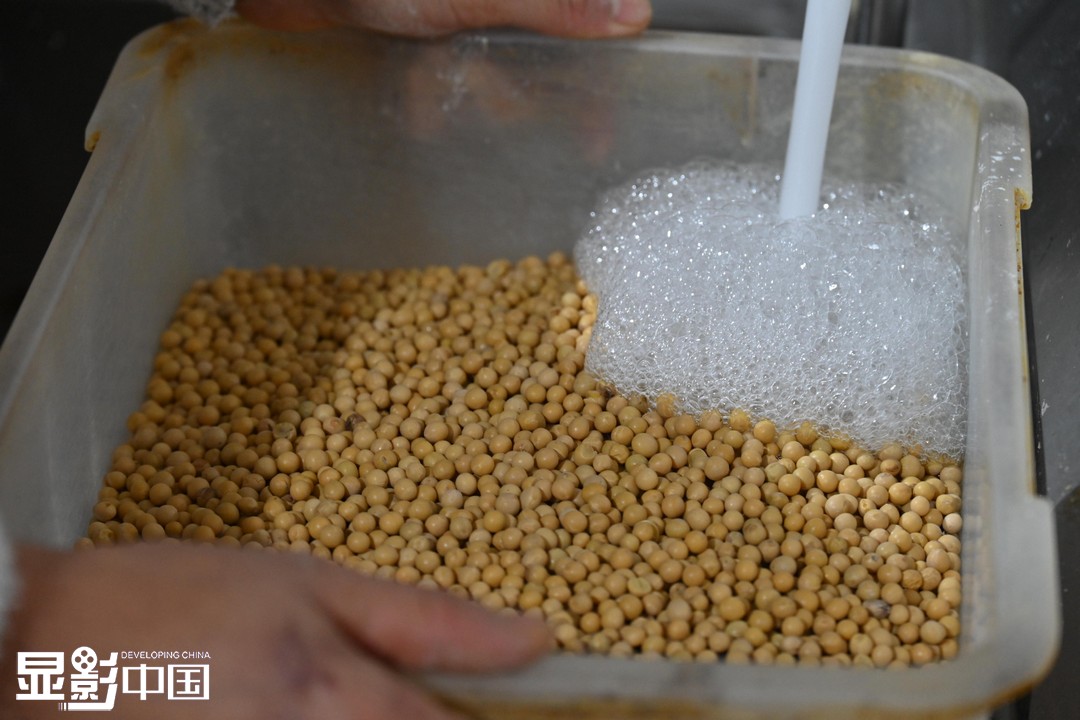 11月21日晚上，王素俠正在泡黃豆，準備第二天磨制豆漿。新華網發（楊曉原 攝）