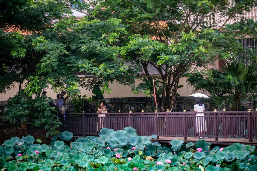 雲南芒市：農旅融合促振興