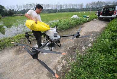 夏日忙農事 促産盼豐收