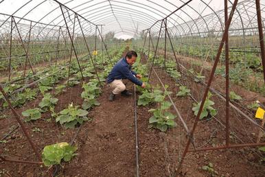 探訪中國在非洲援建的第一個農業技術示範中心