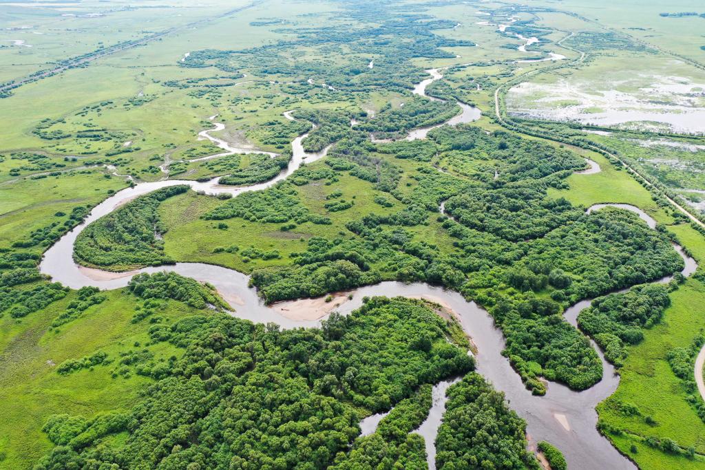 夏日裏的免渡河濕地