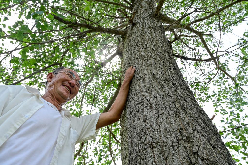 高質量發展調研行丨從荒漠到林海：73歲蒙古族老人百順的治沙故事