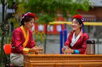 西藏錯那：勒布溝莓茶産業帶動鄉村振興