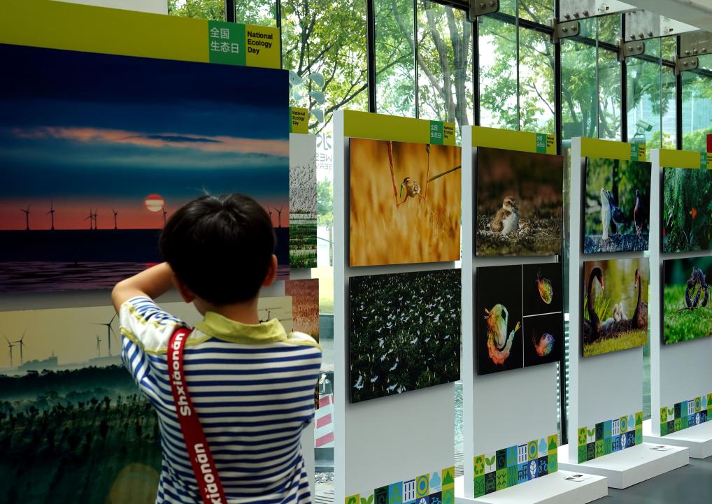 上海舉辦生態環保藝術節