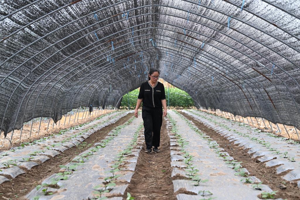安徽樅陽：女大學生回鄉創業帶動村民就業增收