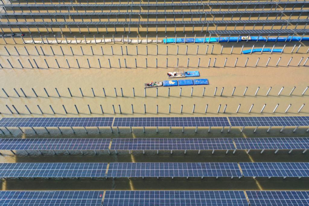 浙江三門：灘塗光伏電站加緊施工建設