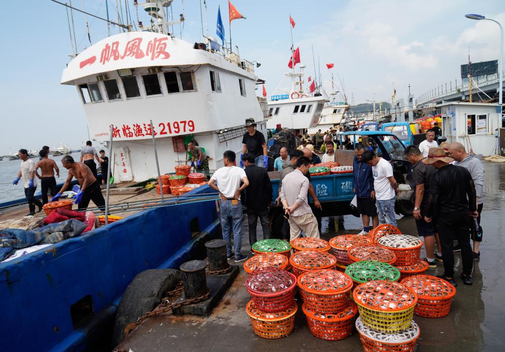 神州風物丨新鮮梭子蟹批量到貨 浙江舟山水産交易忙