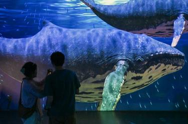 數字科技賦能海洋文旅融合發展