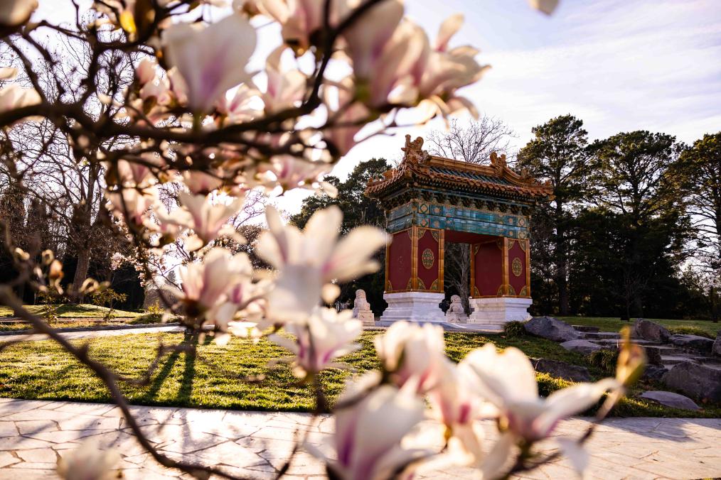 國際·一週看天下