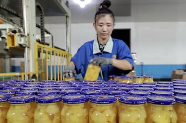 河北遵化：農産品深加工助力鄉村振興