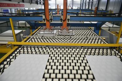 提升企業服務質量 推動主導産業發展