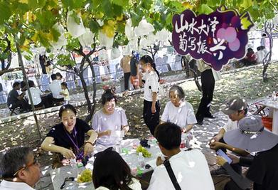 山東平度：葡萄成熟引客來