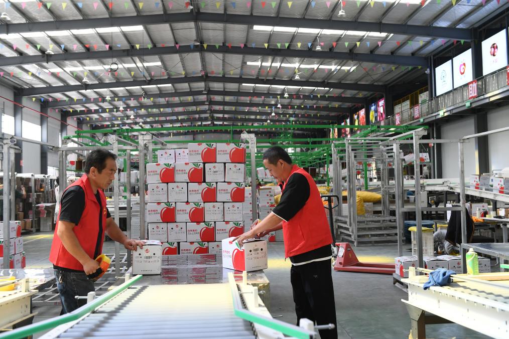 高質量發展調研行丨陜西延安：“小蘋果”做成“大産業”