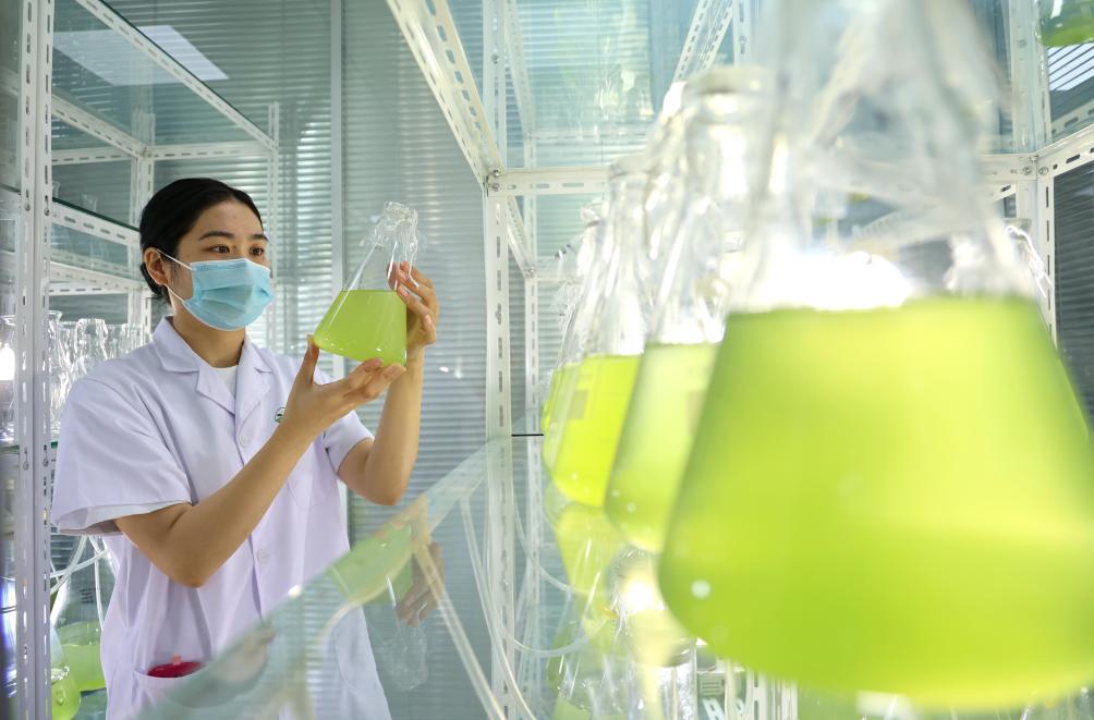 山東樂陵：科技創新助力産業轉型升級