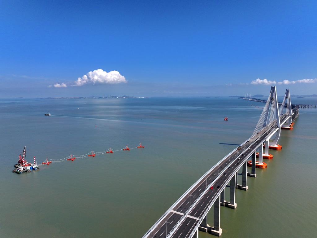 浙江舟山：為舟岱大橋築安全屏障